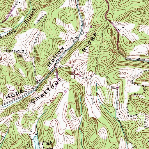 Topographic Map of Chestnut Ridge, TN