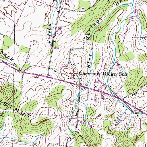 Topographic Map of Chestnut Ridge School, TN