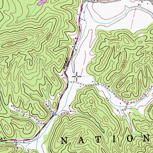 Topographic Map of Chestnut Valley, TN