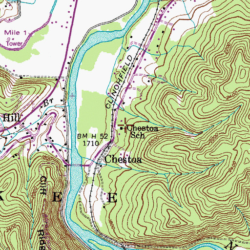Topographic Map of Chestoa School, TN