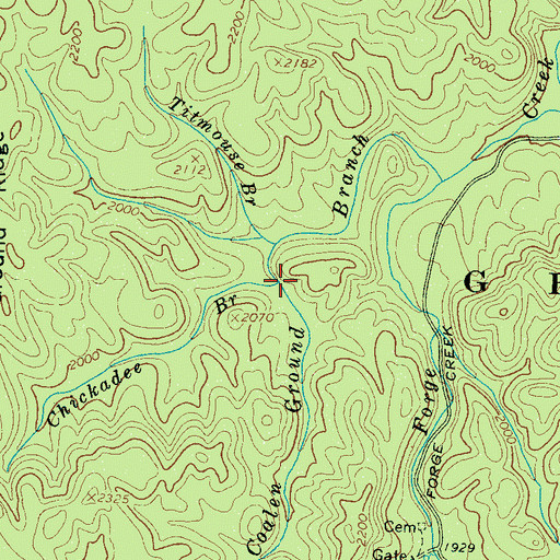 Topographic Map of Chickadee Branch, TN