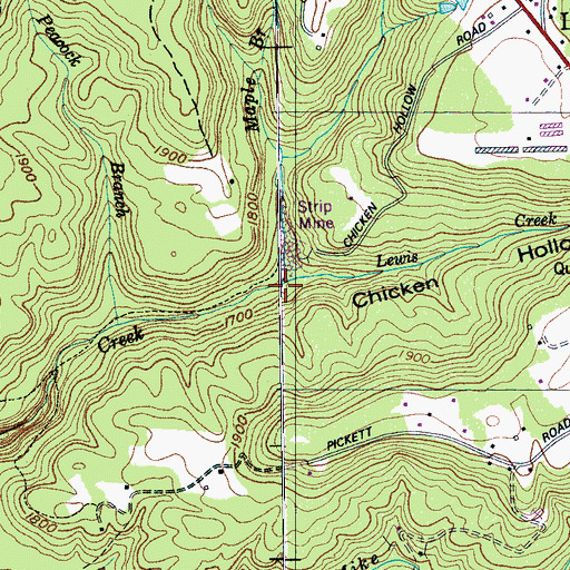 Topographic Map of Chicken Hollow, TN