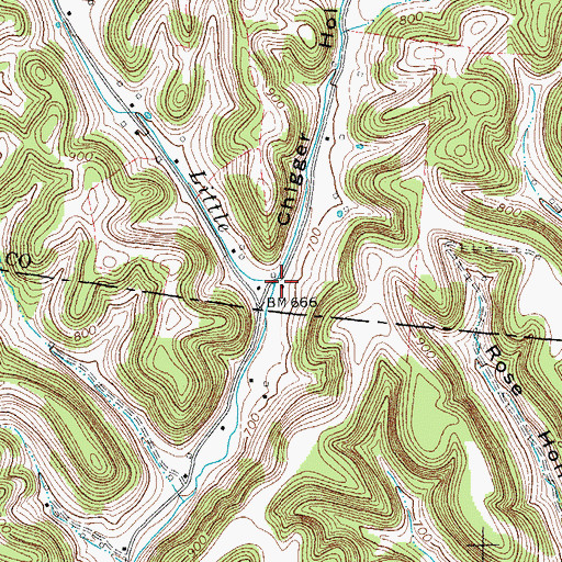 Topographic Map of Chigger Hollow, TN
