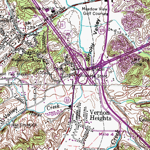 Topographic Map of Childress Store, TN