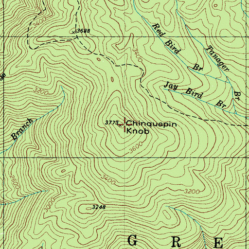 Topographic Map of Chinquapin Knob, TN