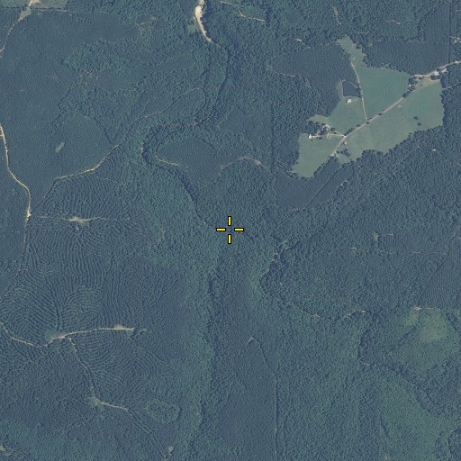Aerial/Satellite Image of Trace Branch, AL