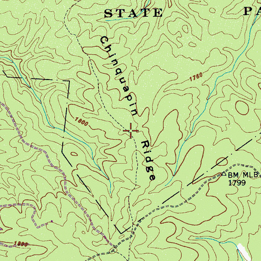 Topographic Map of Chinquapin Ridge, TN