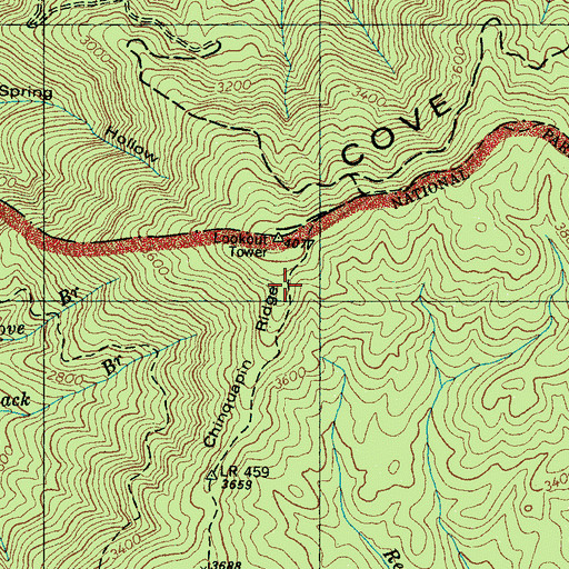 Topographic Map of Chinquapin Ridge, TN