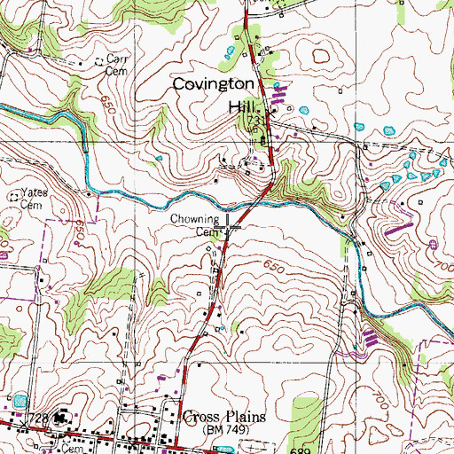 Topographic Map of Chowning Cemetery, TN