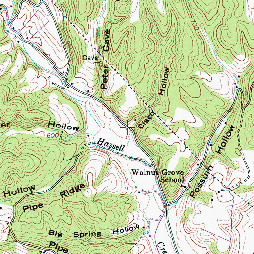 Topographic Map of Cisco Hollow, TN