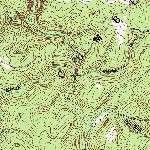 Topographic Map of Clayton Branch, TN