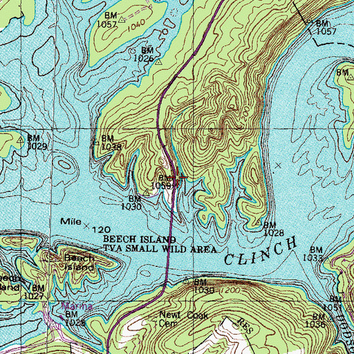 Topographic Map of Clinch River Bridge Dock, TN