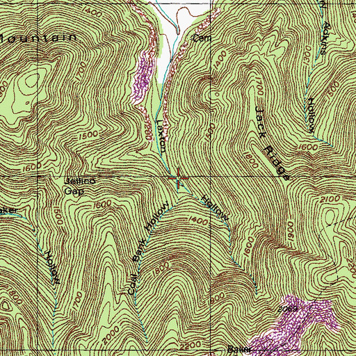 Topographic Map of Coal Bank Hollow, TN