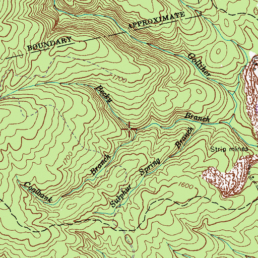 Topographic Map of Coalbank Branch, TN