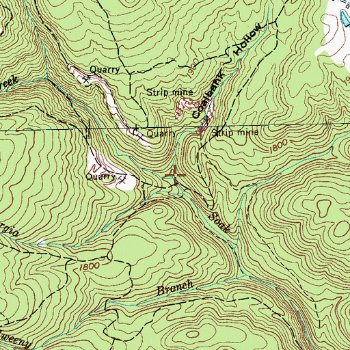 Topographic Map of Coalbank Hollow, TN