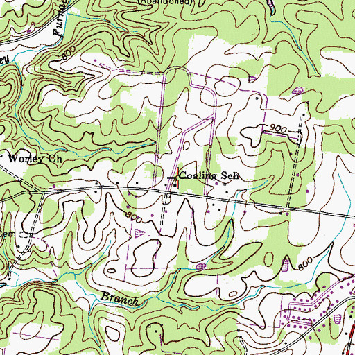 Topographic Map of Coaling School, TN