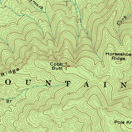 Topographic Map of Cobb Butt, TN