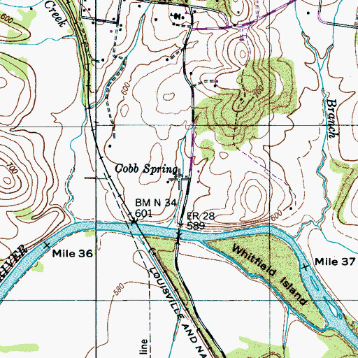 Topographic Map of Cobb Spring, TN