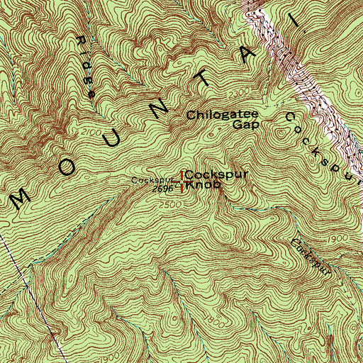 Topographic Map of Cockspur Knob, TN