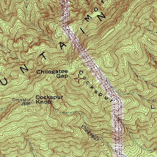 Topographic Map of Cockspur Lead, TN