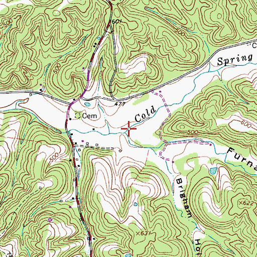 Topographic Map of Cold Spring Branch, TN