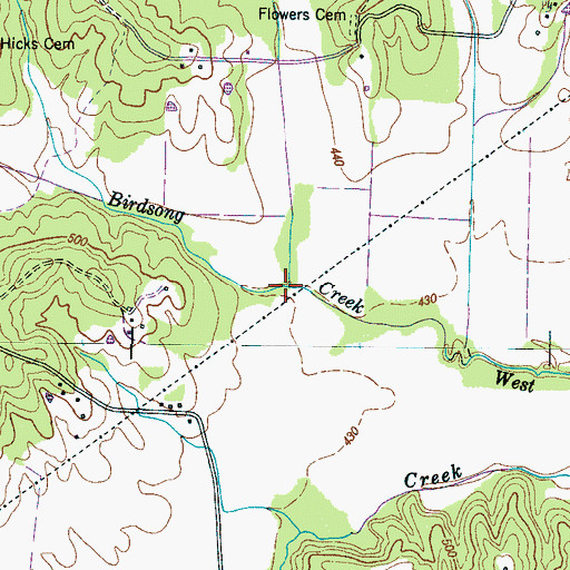 Topographic Map of Coldspring Branch, TN