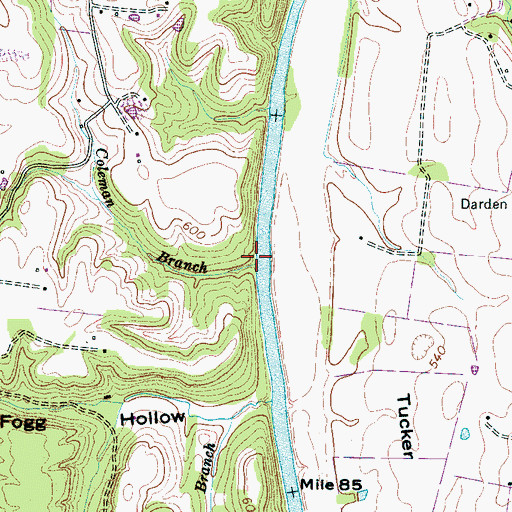 Topographic Map of Coleman Branch, TN