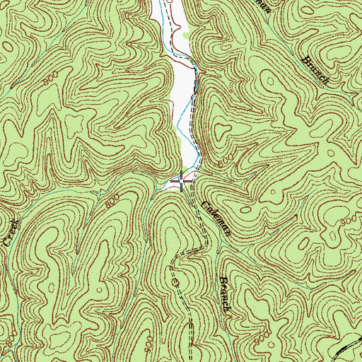 Topographic Map of Coleman Branch, TN