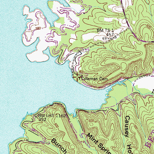 Topographic Map of Coleman Cemetery, TN