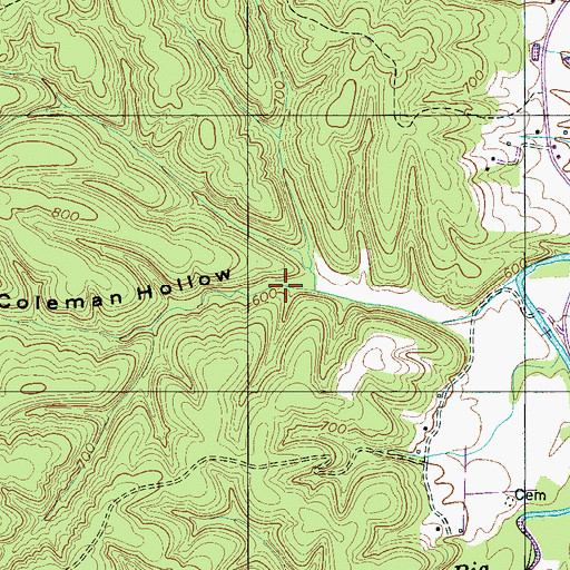 Topographic Map of Coleman Hollow, TN