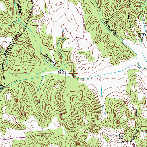 Topographic Map of Collins Branch, TN