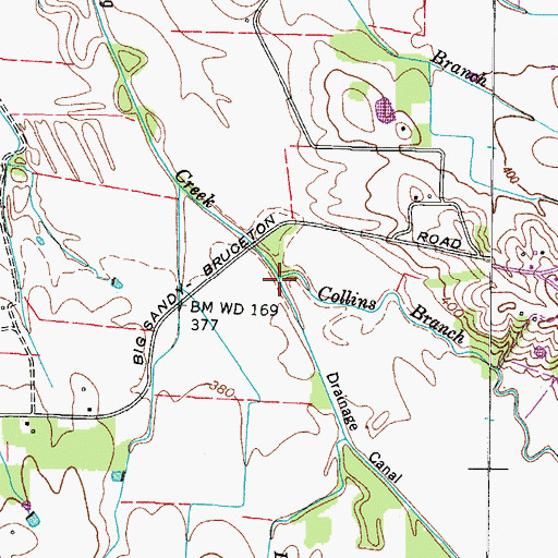 Topographic Map of Collins Branch, TN