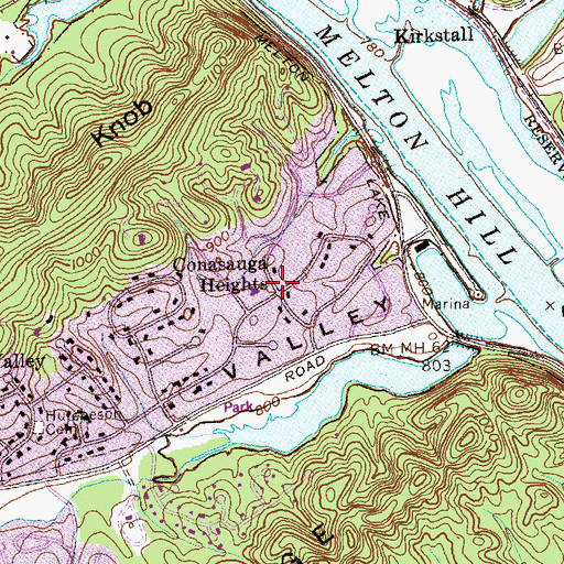 Topographic Map of Conasauga Heights, TN