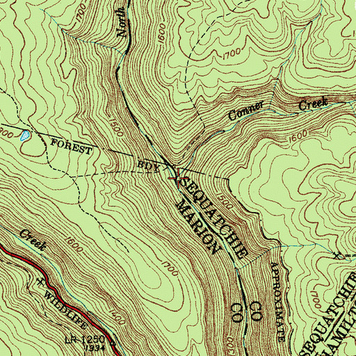Topographic Map of Conner Creek, TN