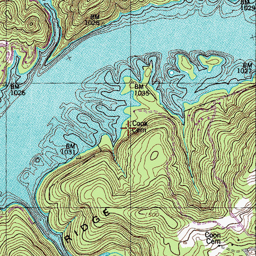 Topographic Map of Cook Cemetery, TN