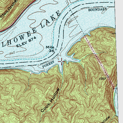 Topographic Map of Cook Hollow, TN