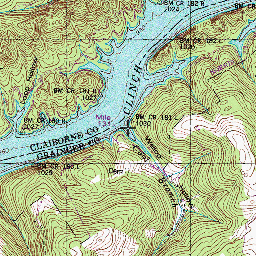 Topographic Map of Cool Branch, TN