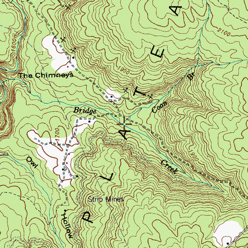 Topographic Map of Coon Branch, TN