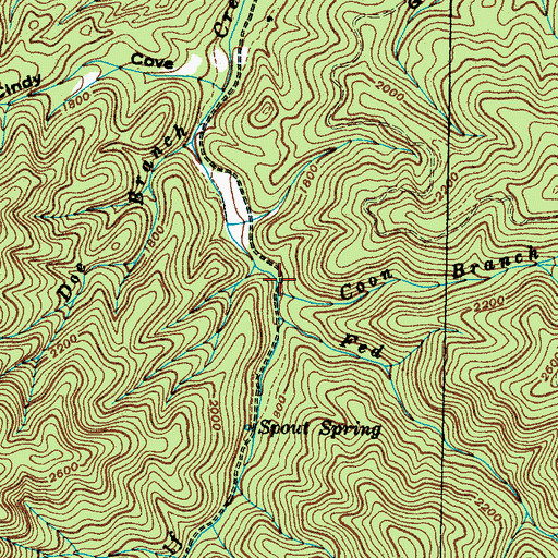 Topographic Map of Coon Branch, TN