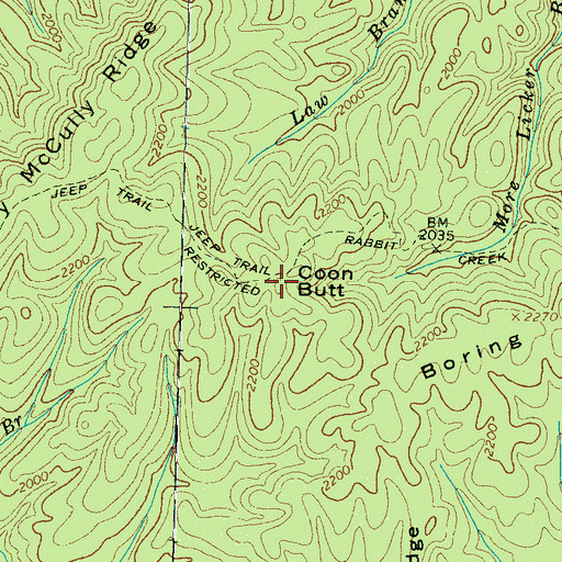 Topographic Map of Coon Butt, TN