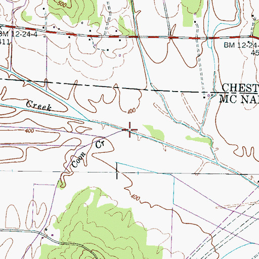 Topographic Map of Coon Creek, TN