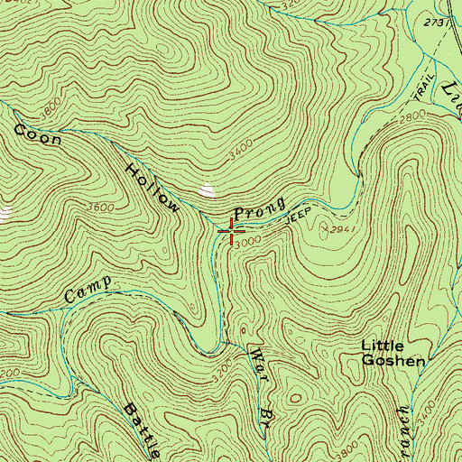Topographic Map of Coon Hollow, TN