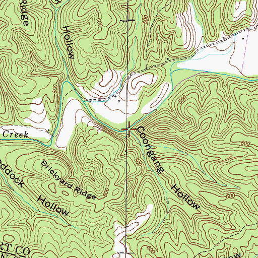 Topographic Map of Coongang Hollow, TN