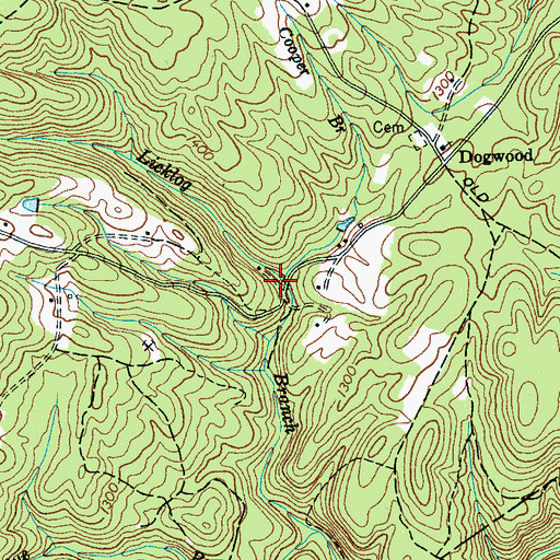 Topographic Map of Cooper Branch, TN