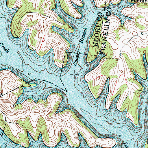 Topographic Map of Cooper Branch, TN