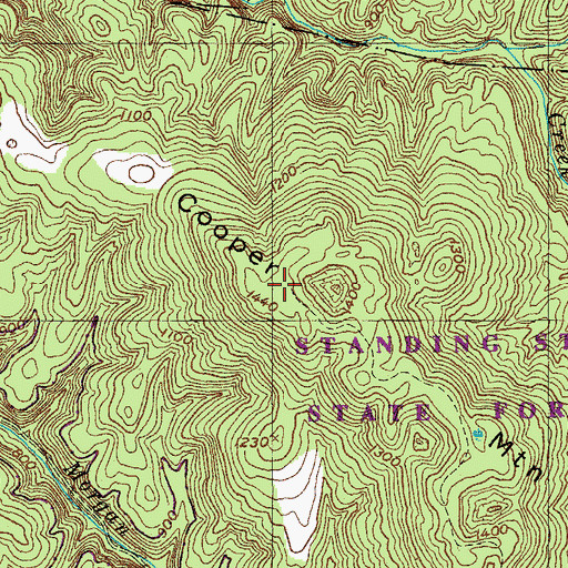 Topographic Map of Cooper Mountain, TN