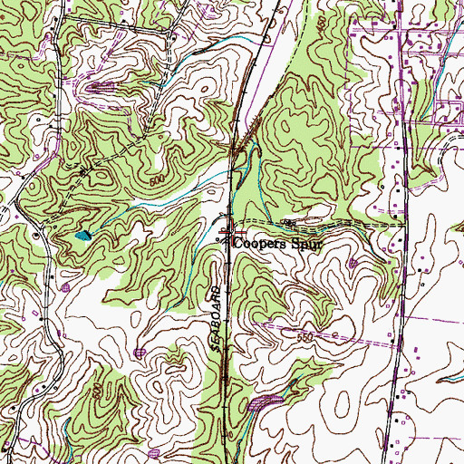 Topographic Map of Coopers Spur, TN