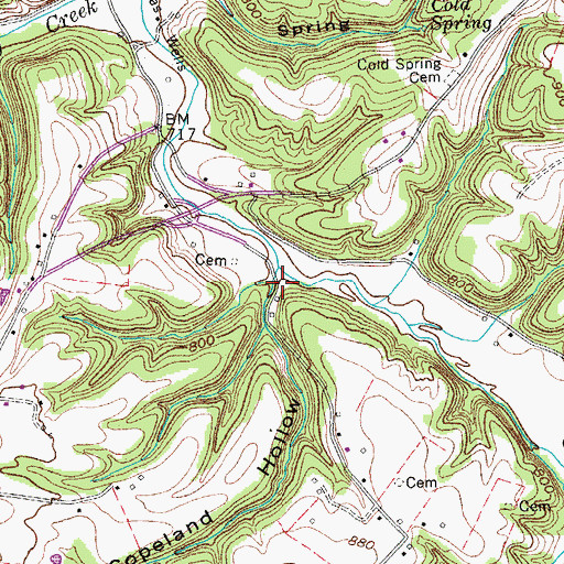 Topographic Map of Copeland Hollow, TN