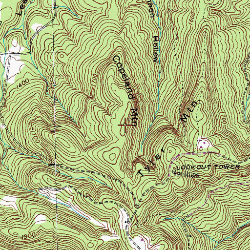 Topographic Map of Copeland Mountain, TN