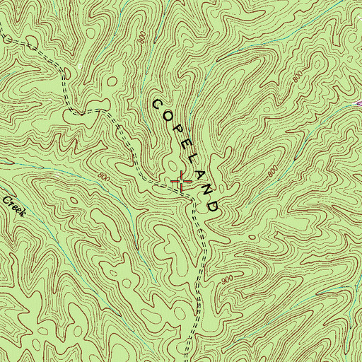 Topographic Map of Copeland Ridge, TN